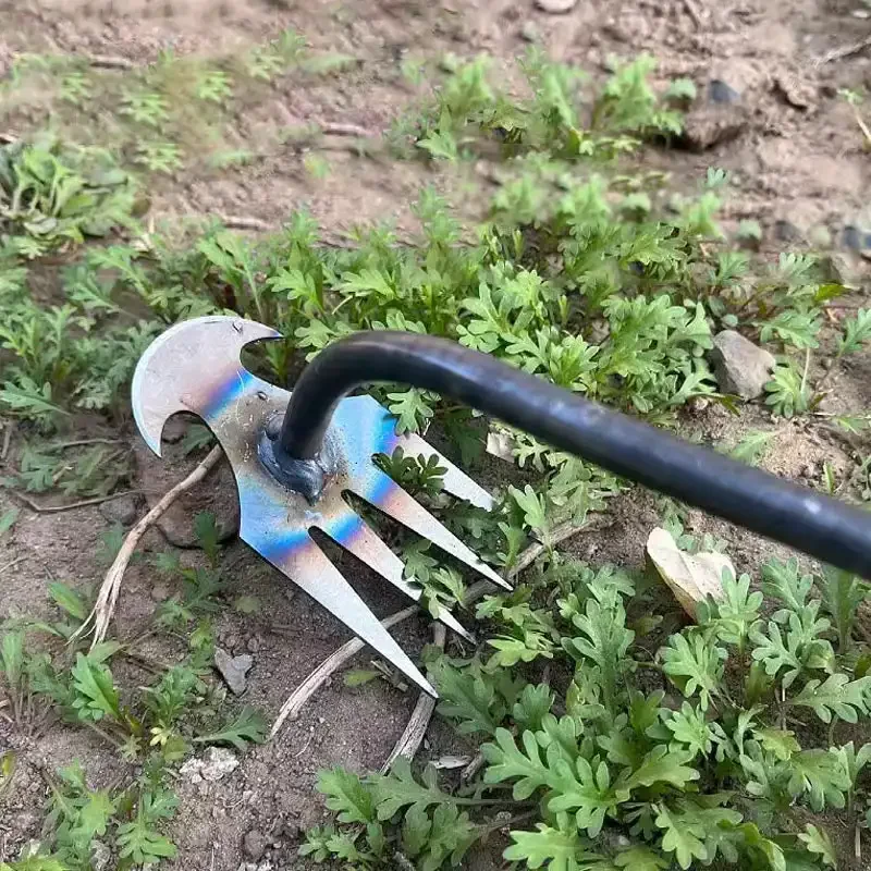Gardening Tools For Weeds - Alat Penyiang Rumput Taman dari Baja