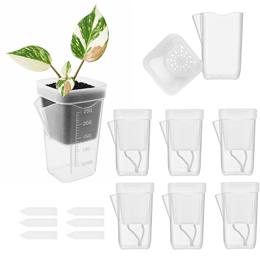 Gardening Tools Kit For Home Garden - 12/24PCS Pot Tanaman Sukulen Penyiraman Otomatis,