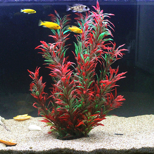 Aquaponics Fish Tank - 50CM Kolam Ikan Buatan Tanaman Langka