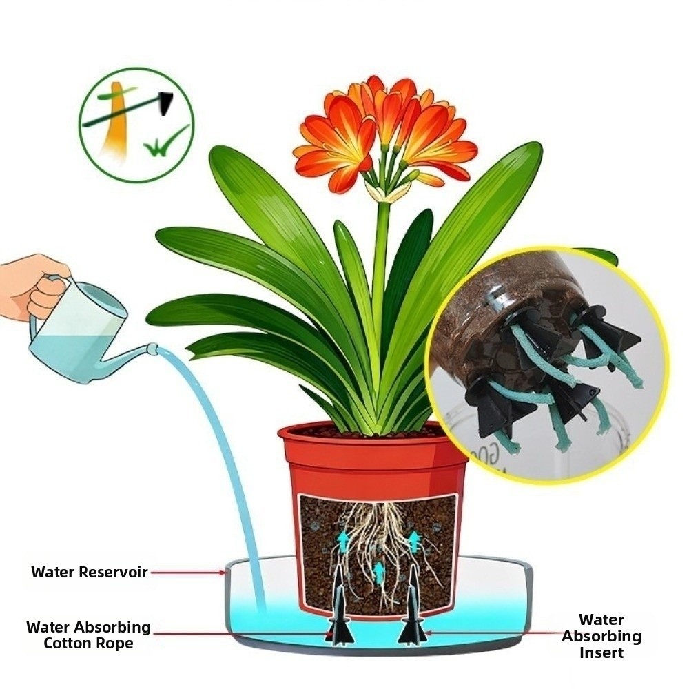 4 buah dengan Tali Katun Penye - Root Watering Spike ulasan dan harga