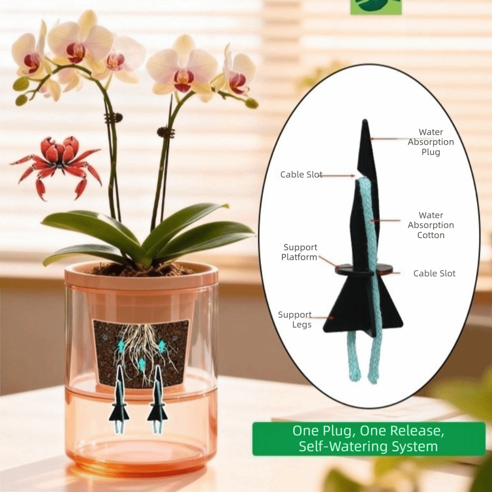 4 buah dengan Tali Katun Penye - Root Watering Spike ulasan dan harga