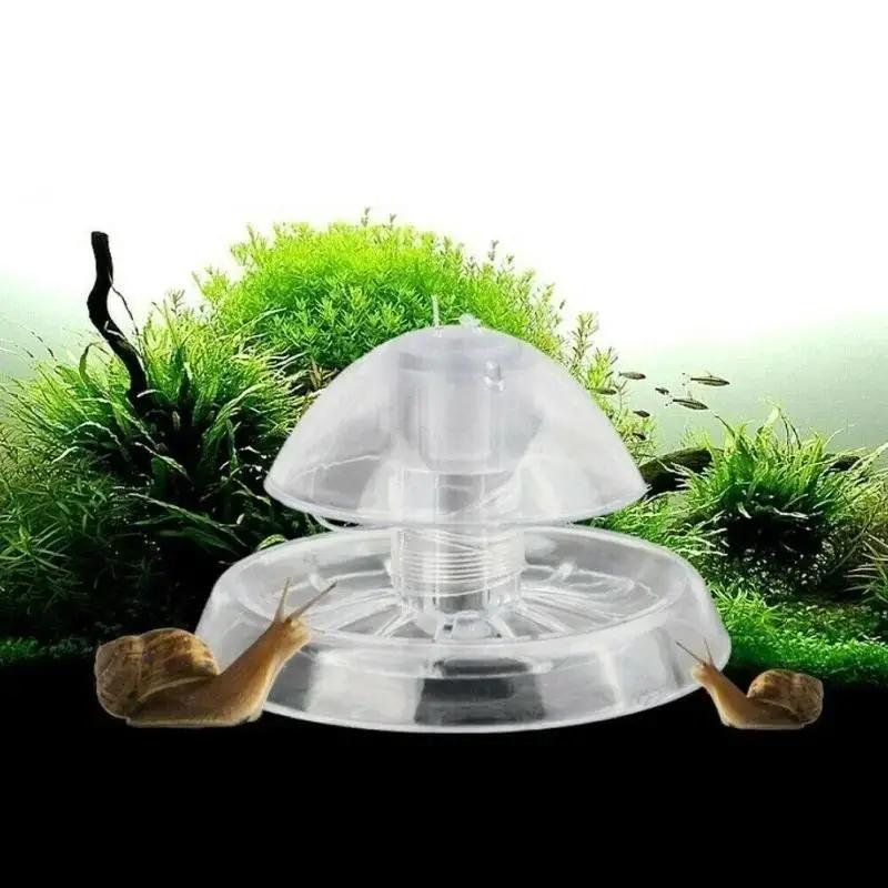 2026 Perangkap Siput Plastik T - Aquaponics Fish Tank ulasan dan harga