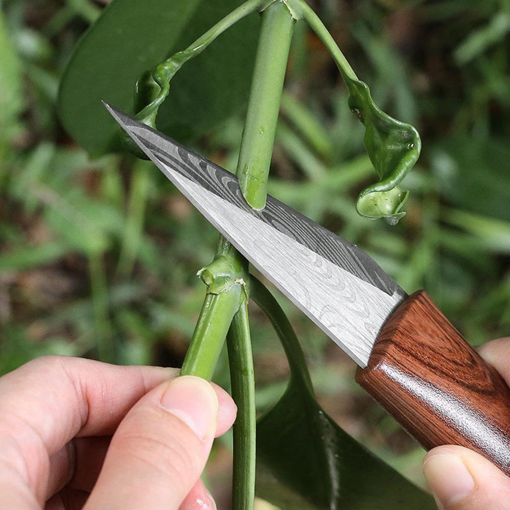 Pisau Cangkok Alat Cangkok Pis - Harvest Knife Garden ulasan dan harga