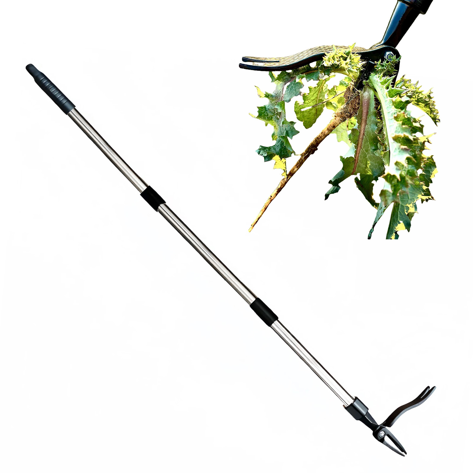 4 Cakar Penarik Gulma Berdiri  - Gardening Tools For Weeds ulasan dan harga