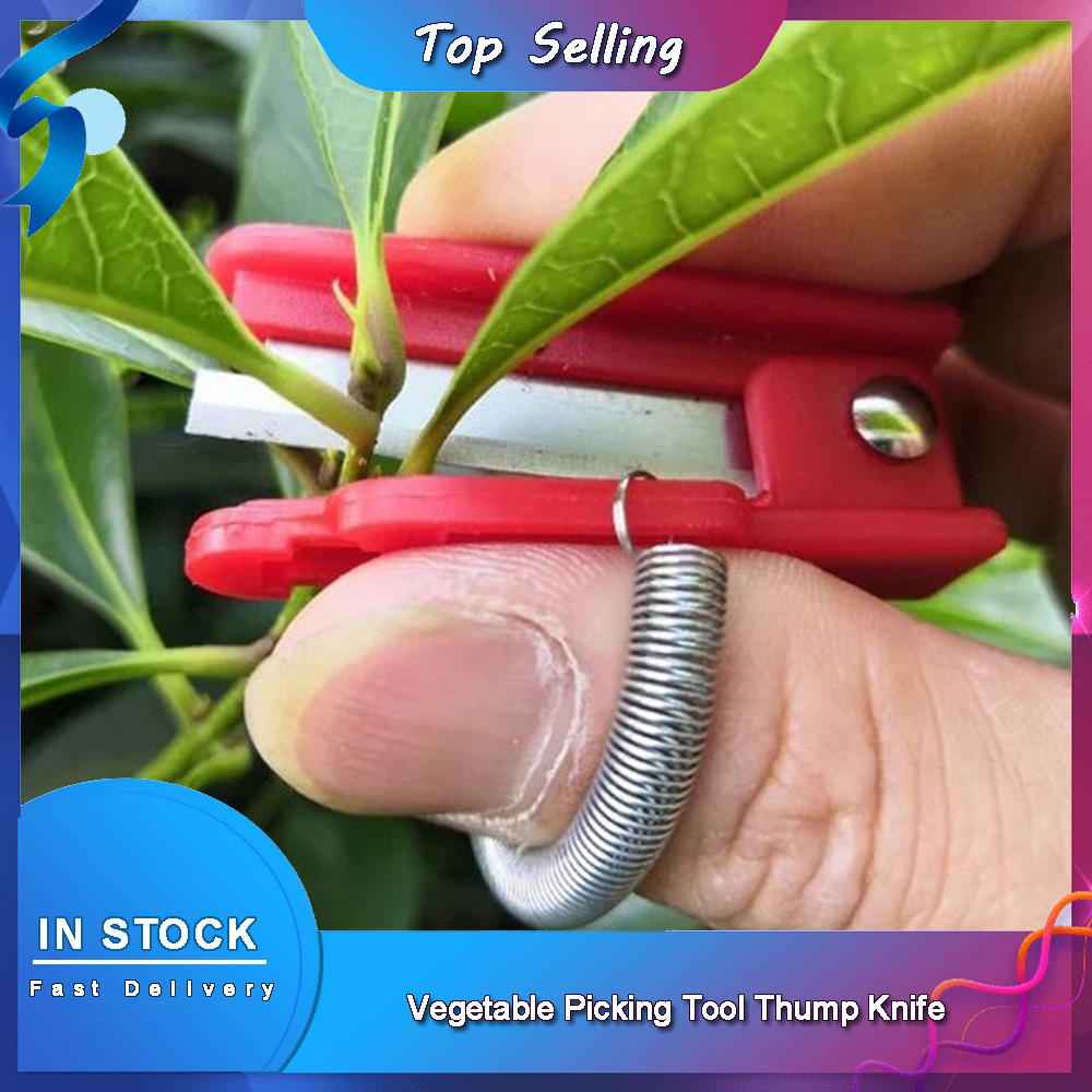 Alat pemetik sayuran pemisah p - Harvest Knife Garden ulasan dan harga