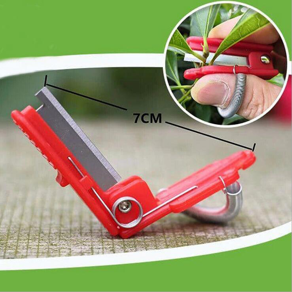 Alat pemetik sayuran pemisah p - Harvest Knife Garden ulasan dan harga