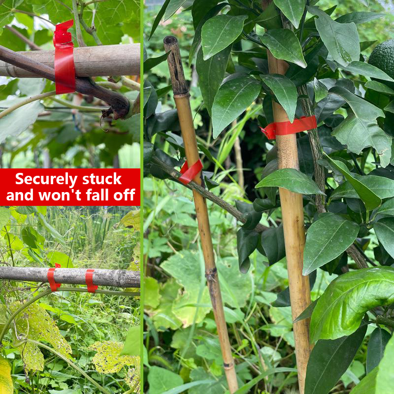 Mesin Pengikat Cabang Tanaman  - Gardening Tools Kit For Home Garden ulasan dan harga