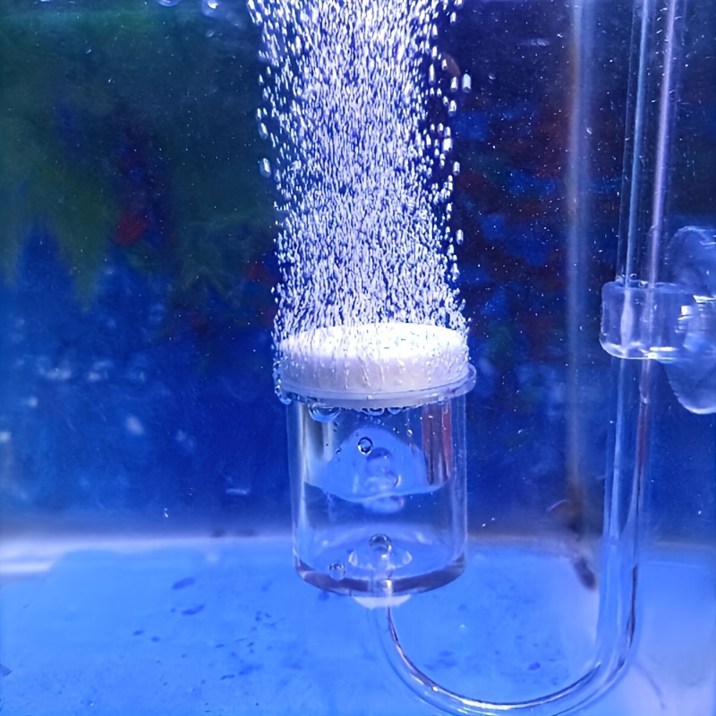Aquarium kaca CO2 Atomizer Dif - Aquaponics Fish Tank ulasan dan harga