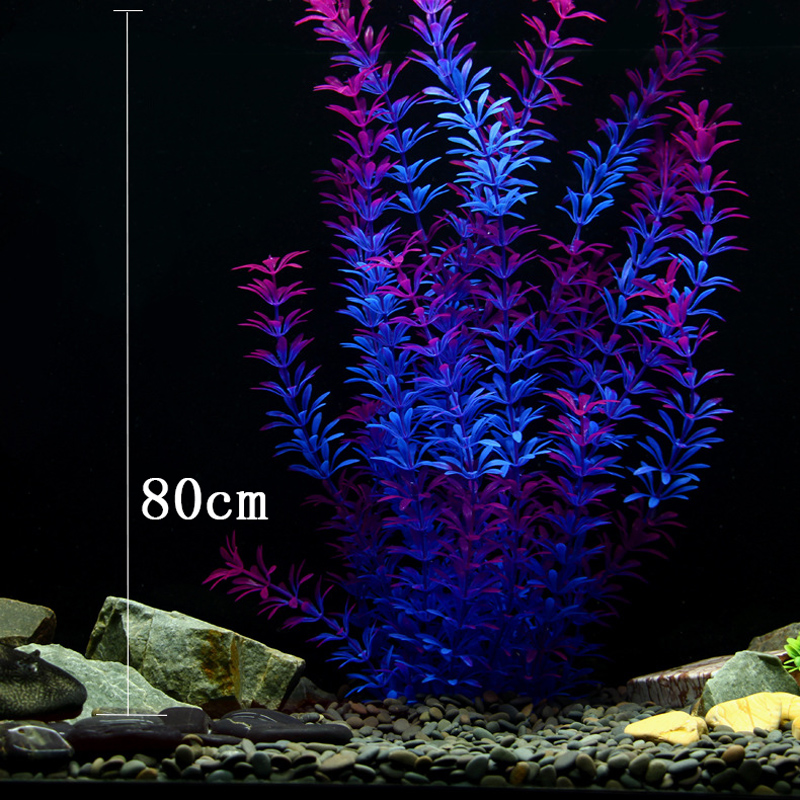 Tanaman Tropis 100cm, Rumput A - Aquaponics Fish Tank ulasan dan harga