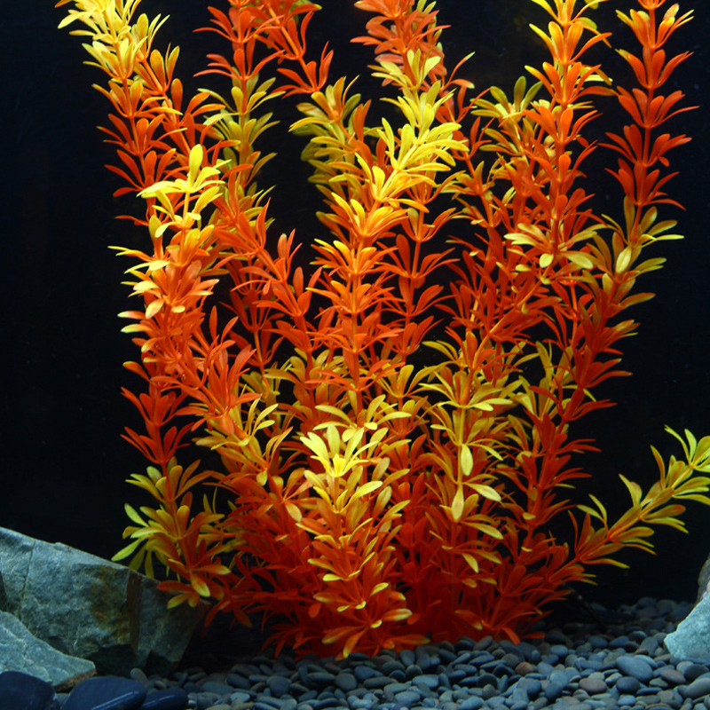 Tanaman Tropis 100cm, Rumput A - Aquaponics Fish Tank ulasan dan harga