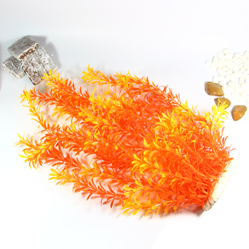 Tanaman Tropis 100cm, Rumput A - Aquaponics Fish Tank ulasan dan harga