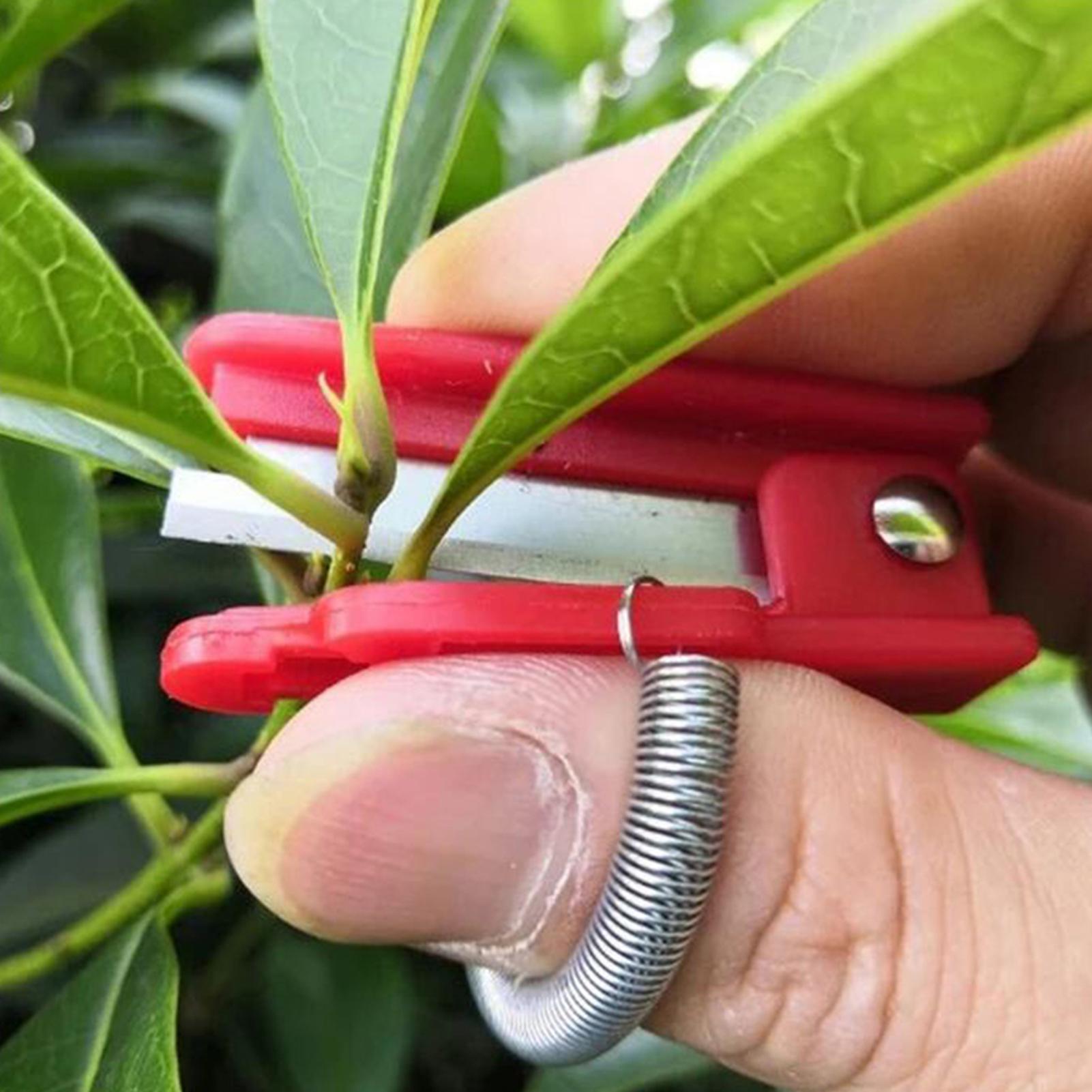 Pisau Jempol Multifungsi Alat  - Harvest Knife Garden ulasan dan harga