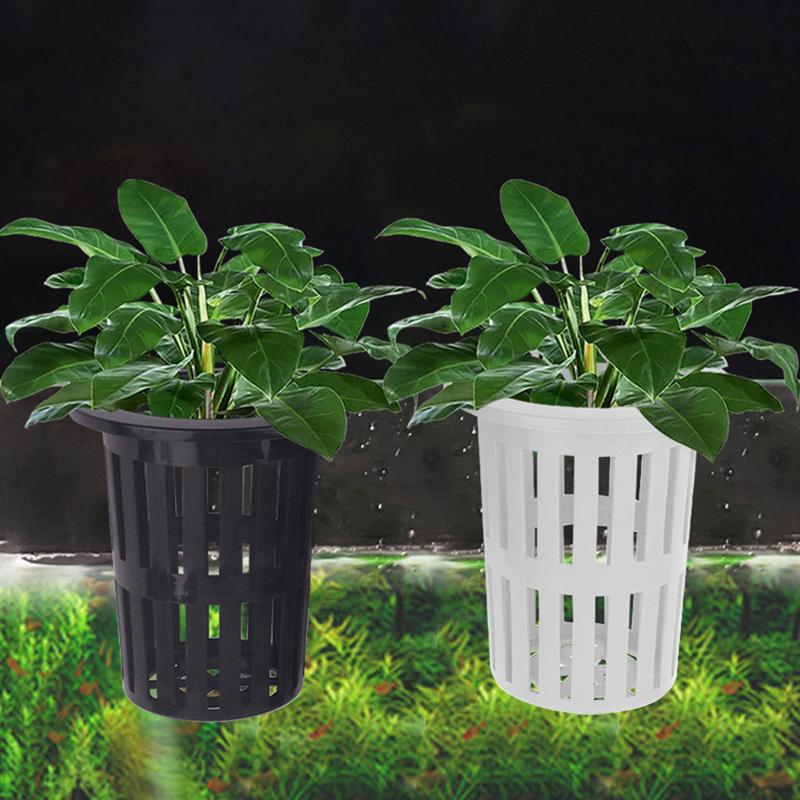 Sistem Penumbuh Akuaponik Tang - Aquaponics Fish Tank ulasan dan harga