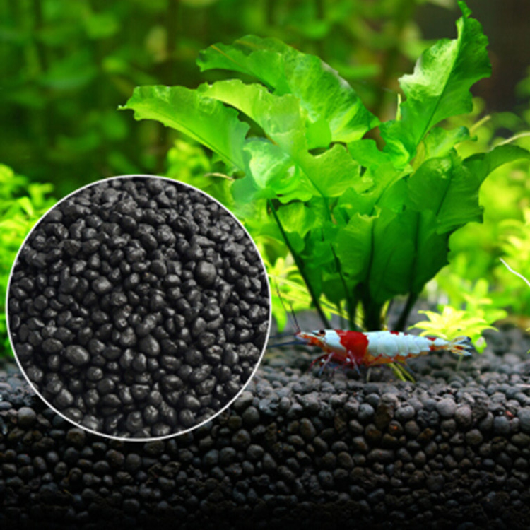 Bibit Tanaman Akuarium Tanah T - Aquaponics Fish Tank ulasan dan harga
