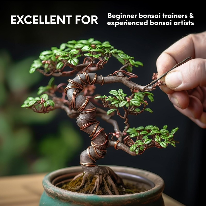 Set Kawat Pelatihan Bonsai 5M  - Gardening Tools Shop ulasan dan harga