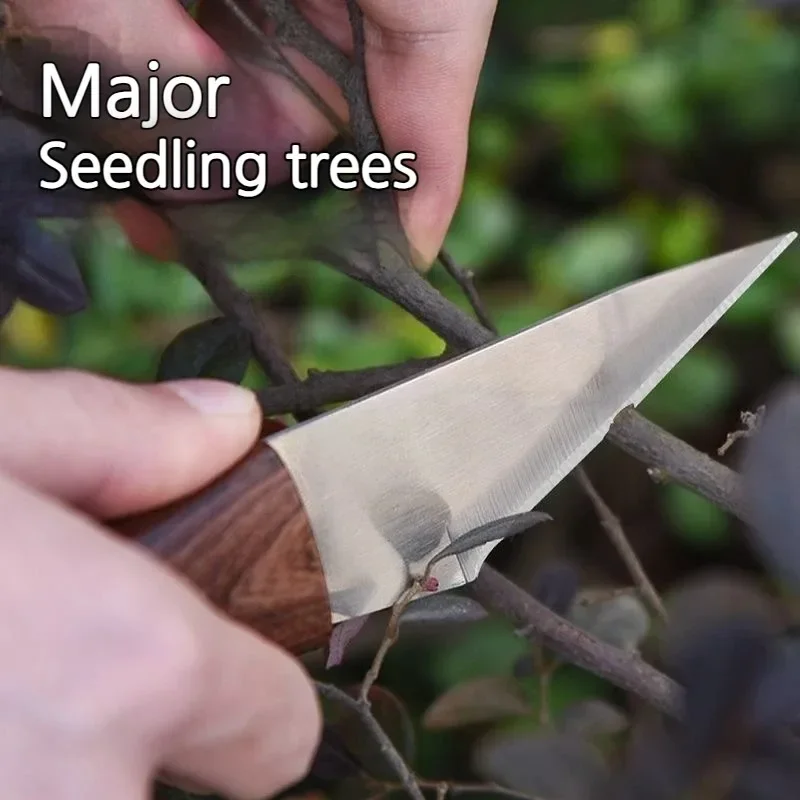 Pisau Cangkok Gagang Kayu deng - Harvest Knife Garden ulasan dan harga