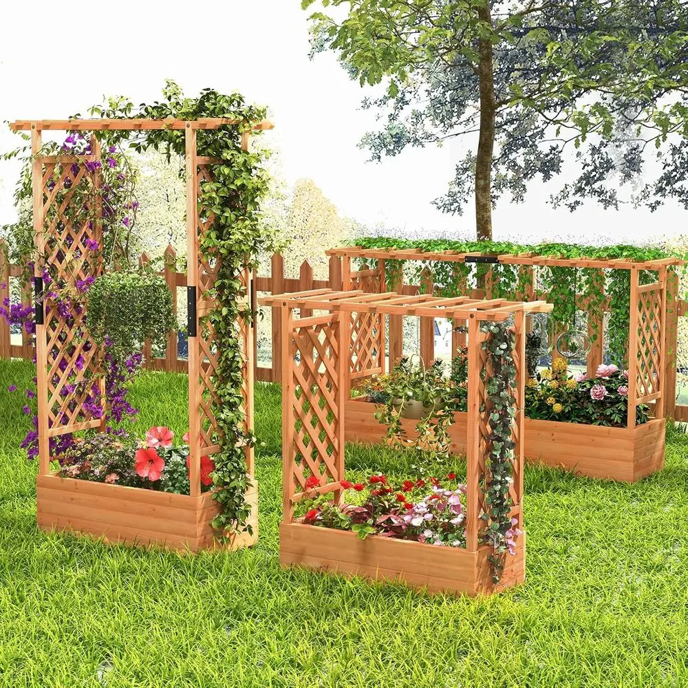45 Bedeng Taman Tinggi dengan  - Hanging Planter Basket ulasan dan harga