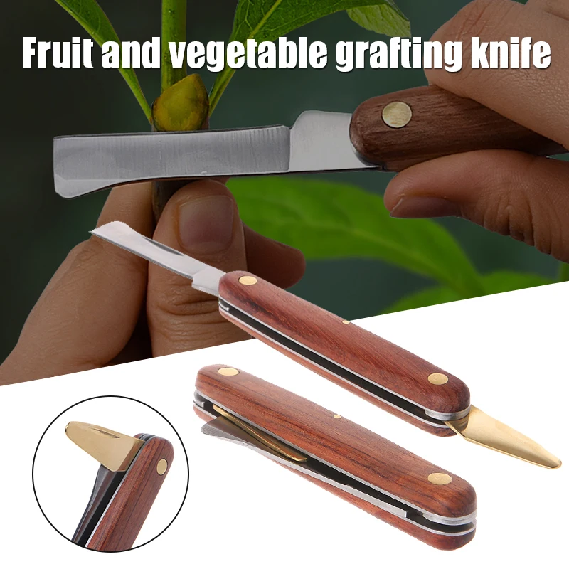 Alat okulasi pisau pangkas lip - Harvest Knife Garden ulasan dan harga