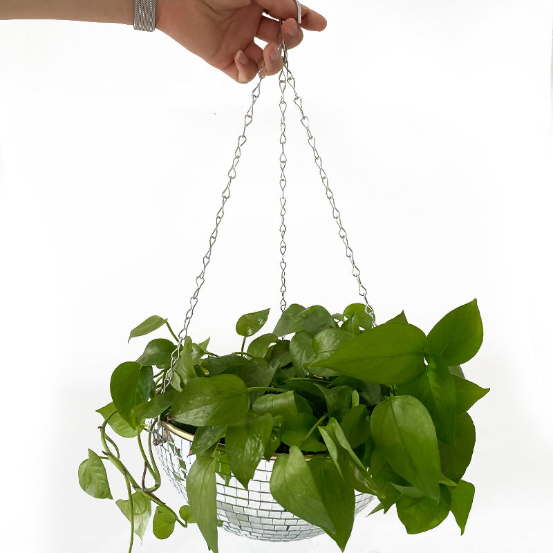 Keranjang Tanaman Gantung Bola - Hanging Planter Basket ulasan dan harga